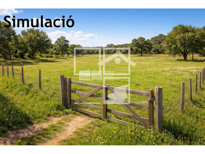 Local en Tona Barcelona