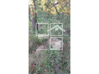 Local en Muntanyola Barcelona