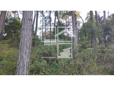 Inmueble en , Barcelona