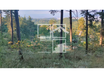 Local en Muntanyola Barcelona