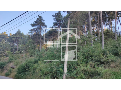 Local en Muntanyola Barcelona