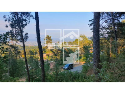 Local en Muntanyola Barcelona