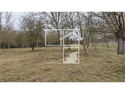 Local en Tona Barcelona