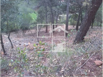 Local en Vacarisses Barcelona