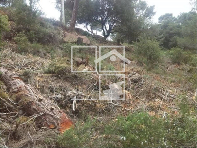 Local en Vacarisses Barcelona