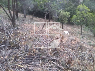 Local en Vacarisses Barcelona