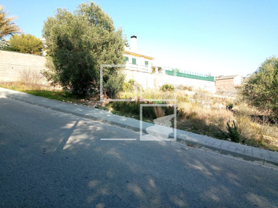 Local en Calafell Tarragona