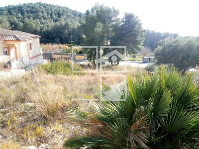Local en Calafell Tarragona
