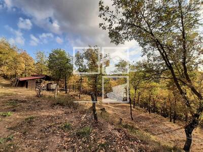 Local en RÃ STIQUES MUNTANYOLA, Muntanyola Barcelona