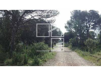 Local en Dels pins, Aiguafreda Barcelona