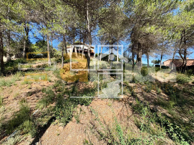 Local en Rellinars Barcelona Local en Rellinars Barcelona