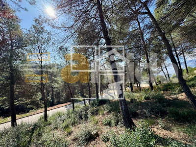 Local en Rellinars Barcelona Local en Rellinars Barcelona