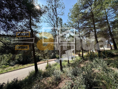 Local en Rellinars Barcelona Local en Rellinars Barcelona