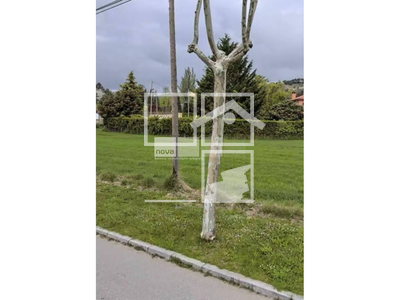 Local en Tona Barcelona