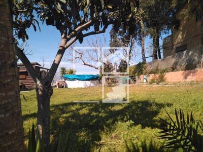 Local en Abrera Barcelona