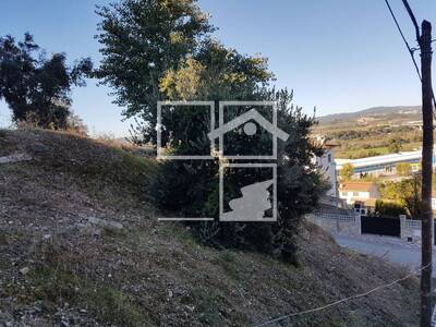 Local en Abrera Barcelona