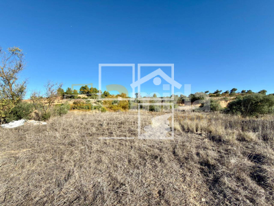 Local en Vinaixa Lleida Local en Vinaixa Lleida