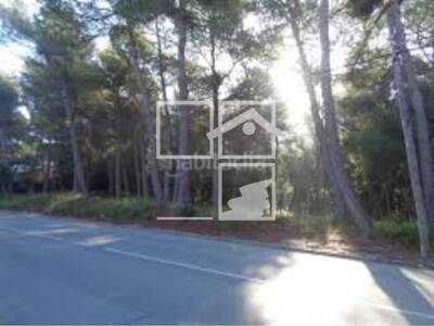 Local en Seva Barcelona