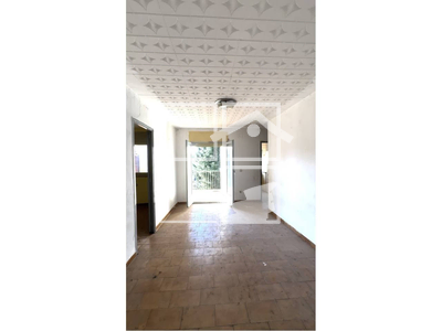 Local en Olot Girona