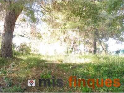 Local en Sant Quirze del Vallès Barcelona