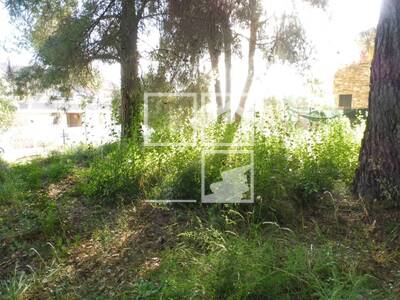 Local en Sant Quirze del Vallès Barcelona