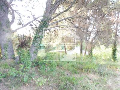 Local en Sant Quirze del Vallès Barcelona