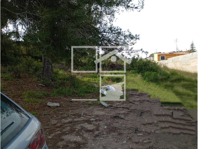 Local en Cubelles Barcelona