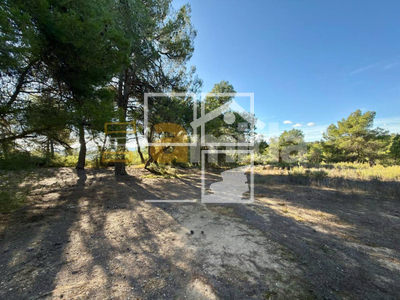 Local en Vinaixa Lleida