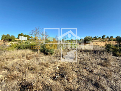 Local en Vinaixa Lleida