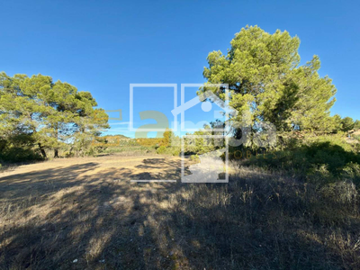 Local en Vinaixa Lleida