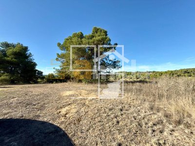 Local en Vinaixa Lleida