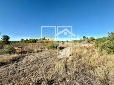 Local en Vinaixa Lleida