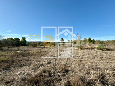 Local en Vinaixa Lleida