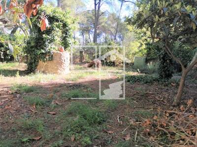 Local en GAMARUS, Sant Quirze del Vallès Barcelona