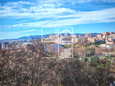 Local en Avenida Can Serra    5, L'Hospitalet de Llobregat Barcelona