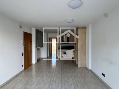 Local en Olot Girona