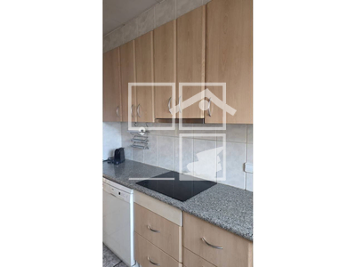 Local en Olot Girona