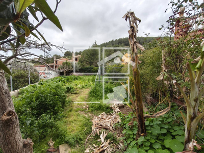 Local en Cunit Tarragona