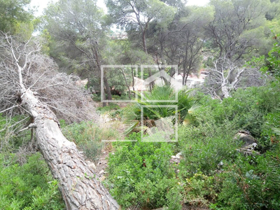 Local en Calle Tulipa    , Cunit Tarragona