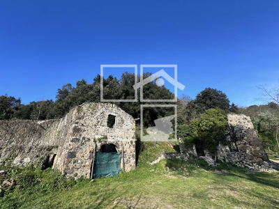 Local en Olot Girona