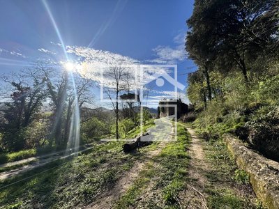 Local en Olot Girona