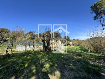 Local en Olot Girona