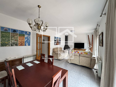 Local en Olot Girona