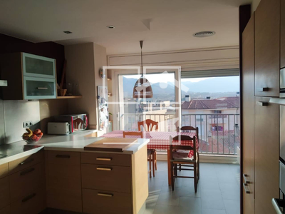 Local en Olot Girona